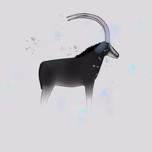 Item #69138463628055130752926986854805628699680031496795916797807466079863814750209 Media