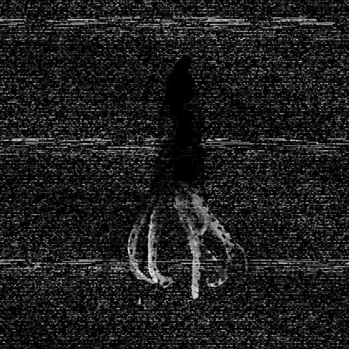 36485824513700346925635491140101516969102708701637270493589643391821011746916