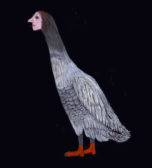 Item #31123813872274373281104257789160308506930923403208043792062521190490721746945 Media