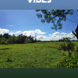 Good Vibes