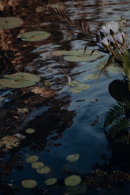 Item #69040073891214831280886932424473030374567714809406336965471043839192192778241 Media