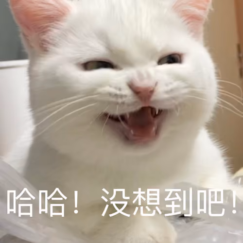 哈哈