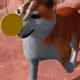 41500962600790716393558454685599186474490353885749909130943222165733128536065