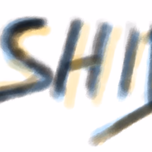 SHIB WORD