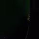 12407412849739214907804332558164020827560594687637229327747424814541538590721