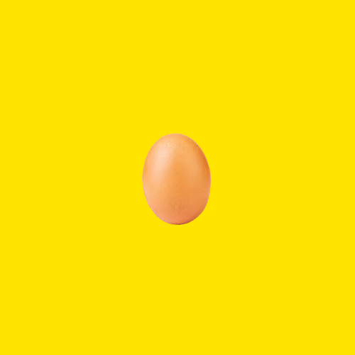 THE EGG color #8