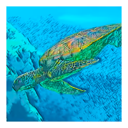 #047 - Turtle
