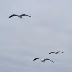 Out To Sea