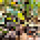 2850415134272365380187775685678842410458265265709128331682257653610328358913