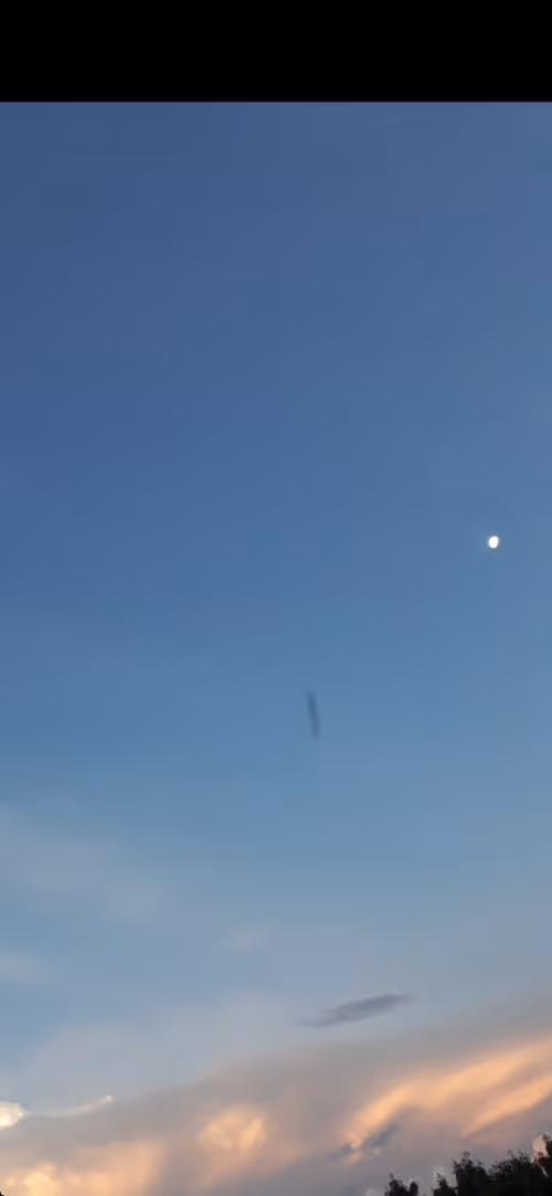 Item #100637868492080889134852757891700027107750330117229050262896553723384689590273 Media