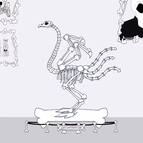 Ostrich #026