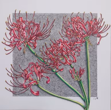 Item #85287633778568224854249724770997392266845098345306706215284281584982679355393 Media