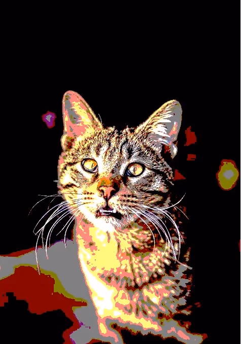 Item #23538819986925566434507765811444276093104658907602947149672917447161533169665 Media