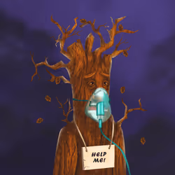 38969088093190670381878411557565580659447067316565611691845276635065139331073