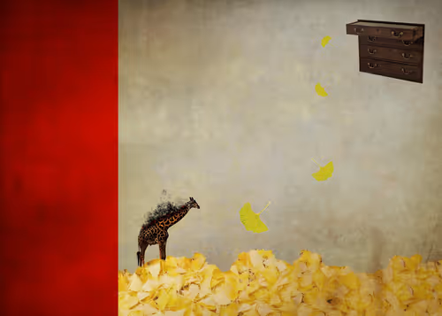 Item #49543221765173905469086434254543082575420429147691128671322515951506979553281 Media