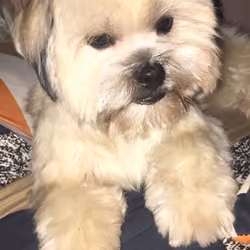 Milo #24