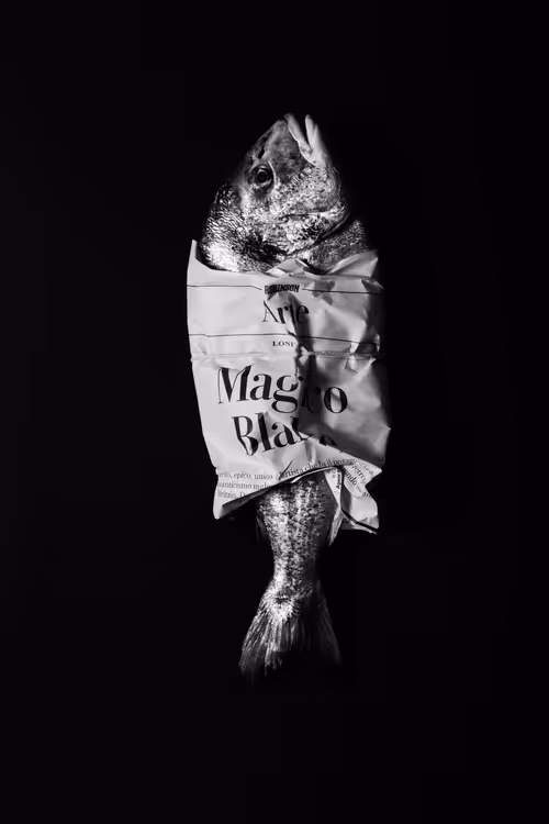 Item #74895612829637780706248325170650045951376310524088245673866730546464963952641 Media