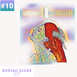Zodiac Signs #10 Capricorn