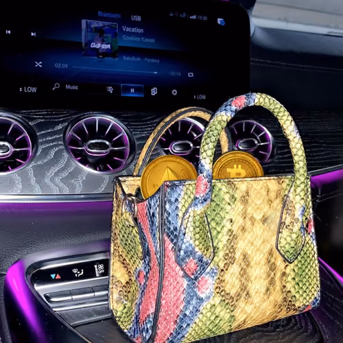 CRYTO MINI BAG