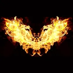Phoenix #GEN6.0