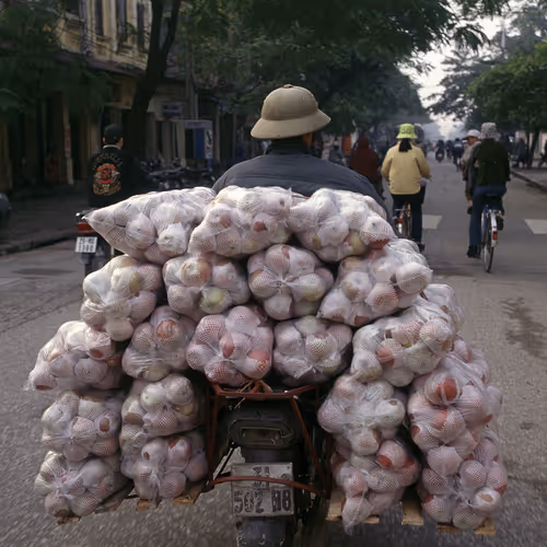 Bikes Of Burden