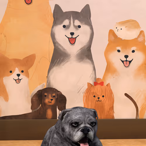 Dawgsout