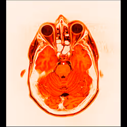 64162533542198579898252916190583583845604629893829087458582976135019622301697