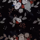 sonota_collection