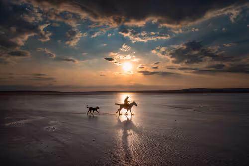 Item #103012301657456598627464593711191492996341926608798375780323323150502362873857 Media