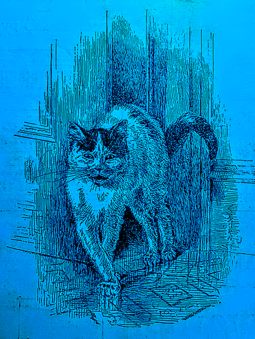 Item #35247308013863639916483757756408588227786114589757564733366544657302283091998 Media