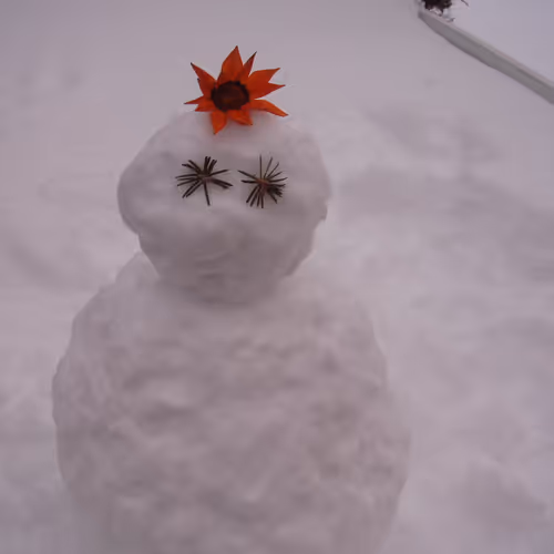 Untitled Collection #436919733