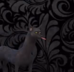 Item #7857268478954411585887823745592208303693395627658981530511885872803136667649 Media