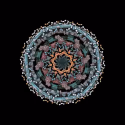 Artificial Chemistry #13
