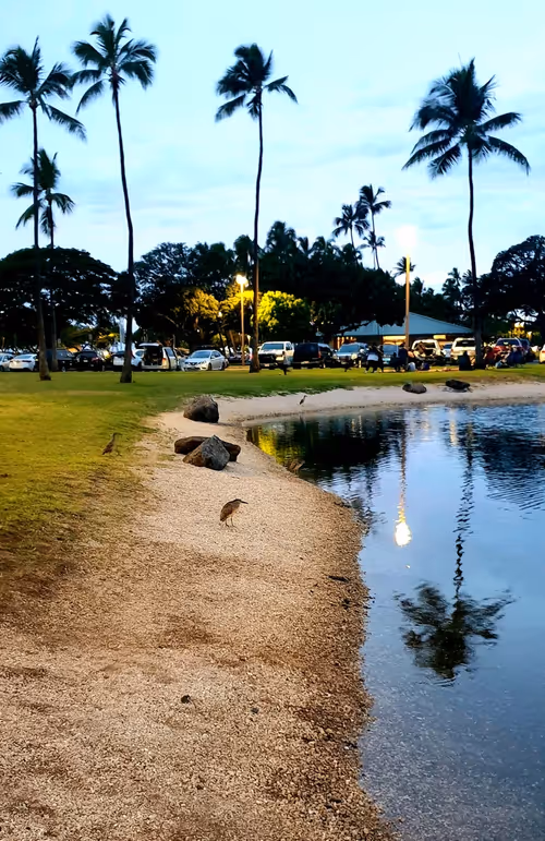 Item #110534027555100073449800383063776776852092282541871866925712019200220990537729 Media