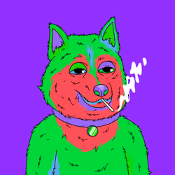 Hypno Husky #19