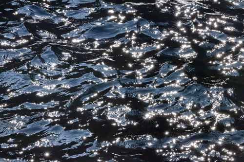 Item #81441334517361708208394031135700195474624799851237506988747108059056202317825 Media