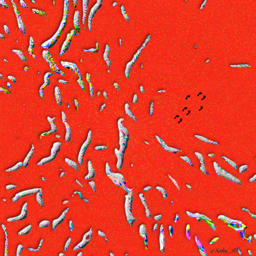 52596772328572645396799225155179162658789326659101193362598998513021618225153