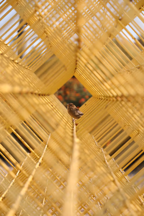 Item #9120212916765116150568675881713414537423652719211967924258503630895844425729 Media