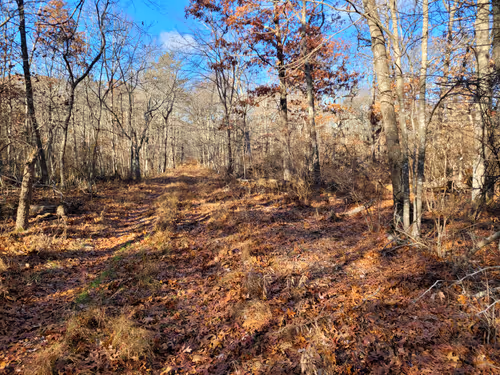 Item #34085441569699423005310991372941828806155687762378495952169943198875336572929 Media