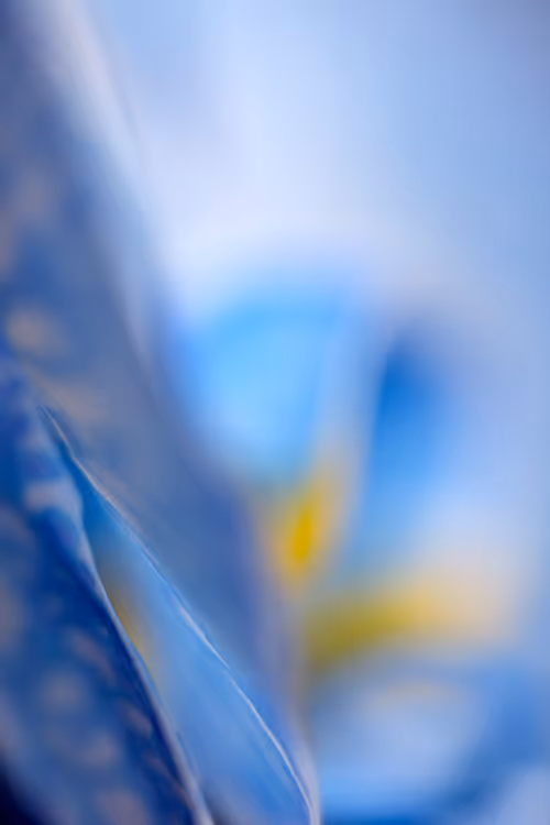 Item #24632583837492670092599633934589483131746797002802219579488358123943845953537 Media