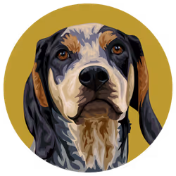 54766349128176429303044182404049584425310907481653304317570413971614262624257