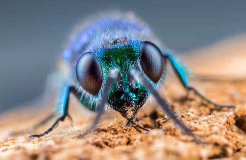 Item #11893448461842202167923125391346137616384292588036434545660885316553238642689 Media