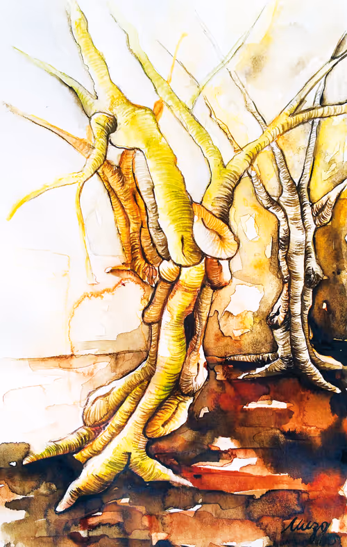 Item #73344577178846438114199699279877756149678730933278830792301650589724283240449 Media