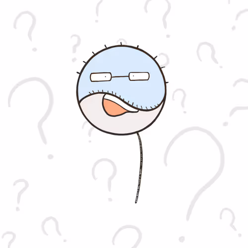 Item #70347178970434090120221538108295694415064880829017278010093198431577891143681 Media