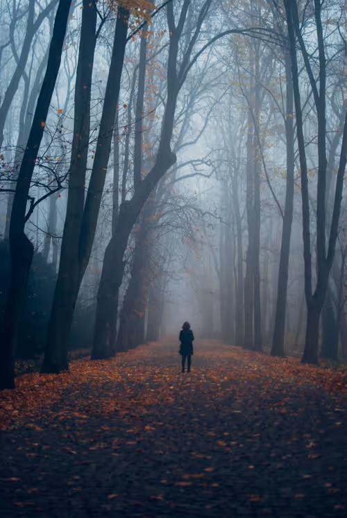 Item #39035241006886800133581244574991505249782212616631598871723227552580898914319 Media