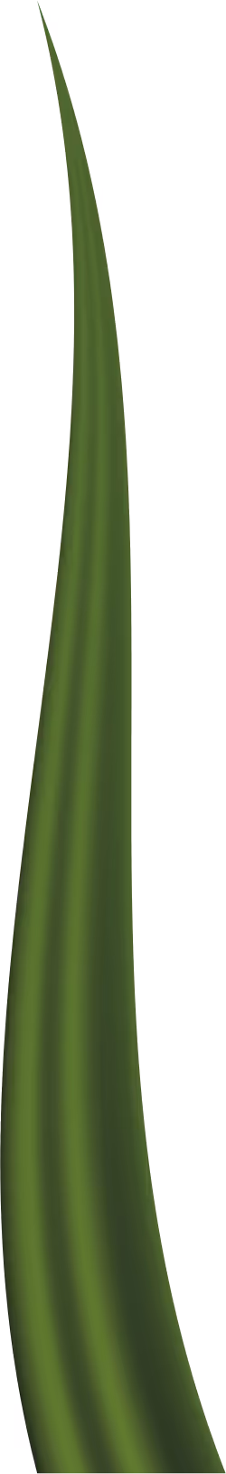 Item #78763235517899702300642317908544281341520076745003203023483945964221402972161 Media