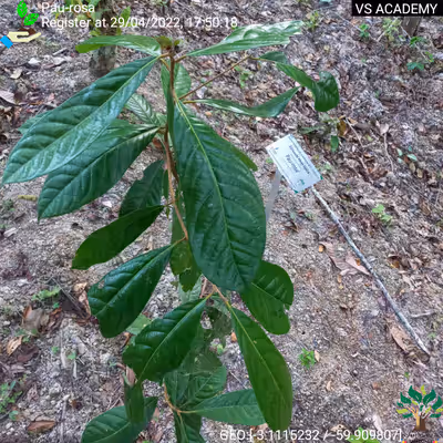 Item #8500196597889277390194123329501889087166328879864934763448348840208988372993 Media