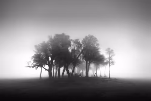 Item #108814857691029429230781820568210235490063919231059486623727012662972298297345 Media