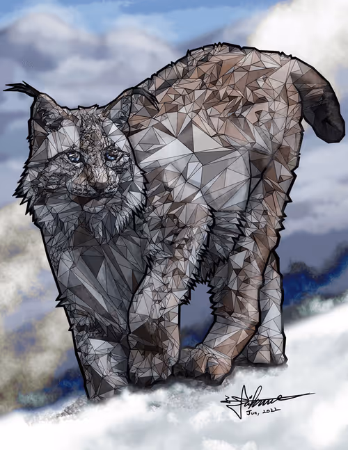 Item #27193563482882522542439939713459761912672392428874250881535280986414506835974 Media