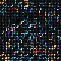 Crypto Comes Alive At Night! - "What the Dot!" Series Collection